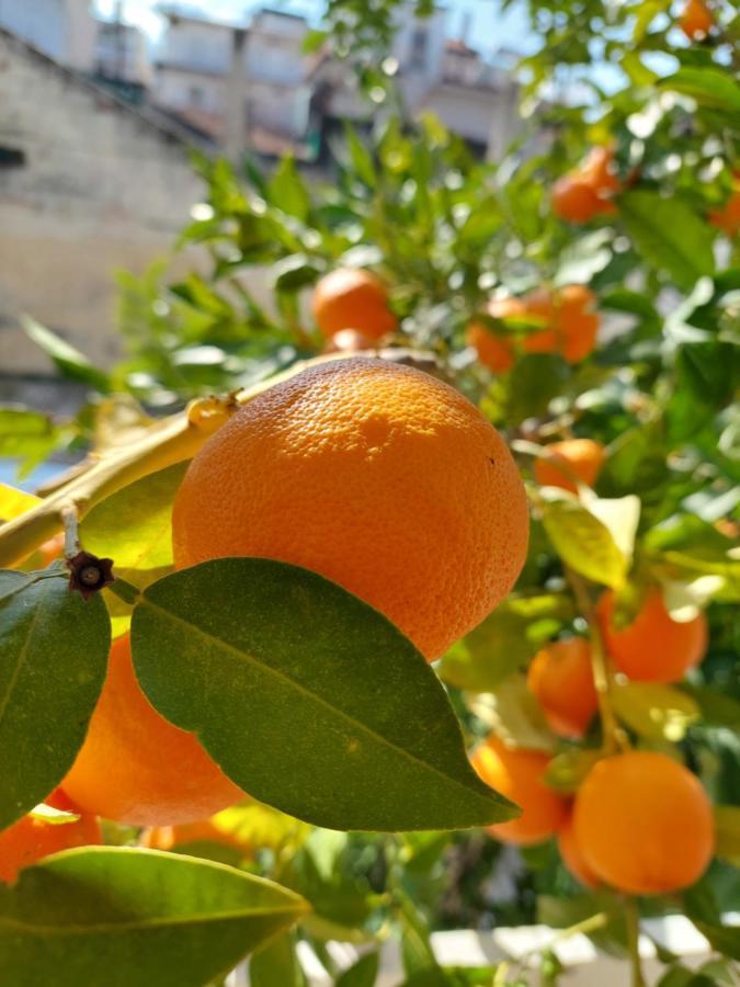 Orange Tree Apartment Аспровалта Екстериор снимка
